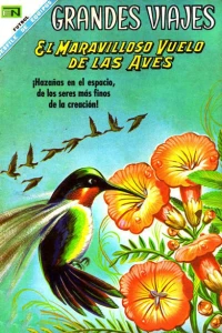 El Maravilloso Vuelo de las Aves