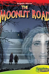 The Moonlit Road