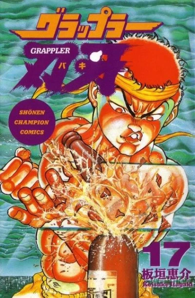 Cover of Volume 17