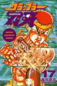 Volume 17