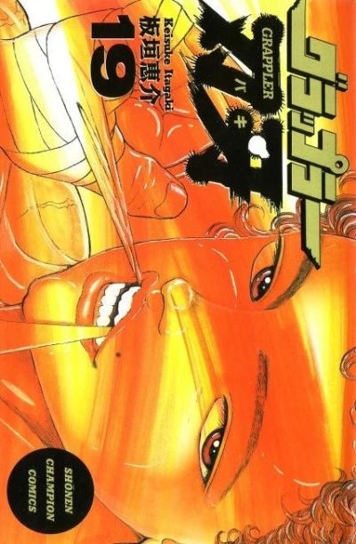 Cover of Volume 19