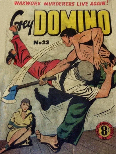 Cover of Issue #22