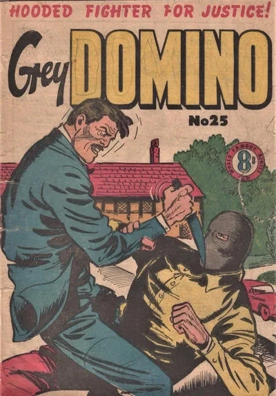Cover of Issue #25