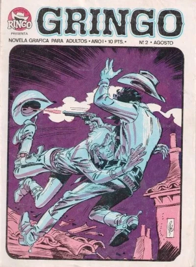 Cover of Dos forajidos