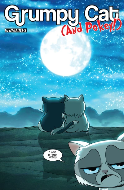 Cover of Pokey Falls in Love; The magician's Unpaid Intern; The Visitors