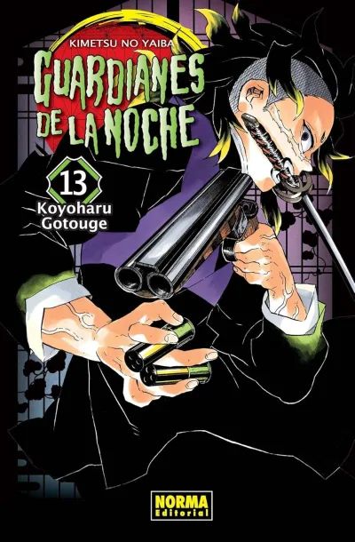Cover of Issue #13