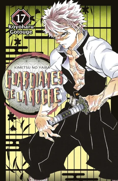 Cover of Issue #17