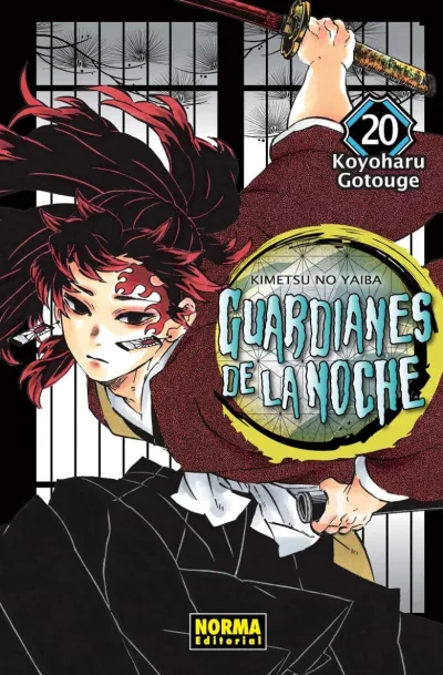 Cover of Issue #20
