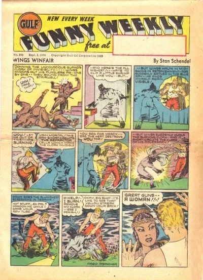 Cover of Wings Winfair