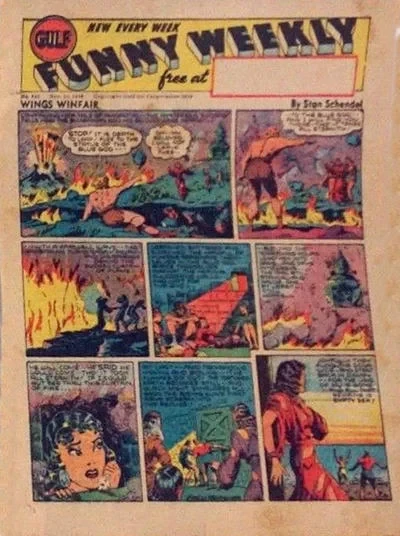 Cover of Wings Winfair