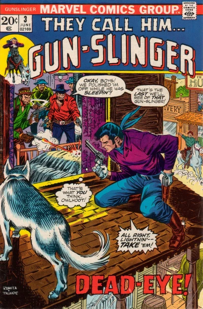 Cover of The Man and the Gun