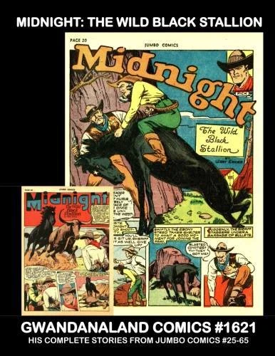 Cover of Midnight: The Wild Black Stallion