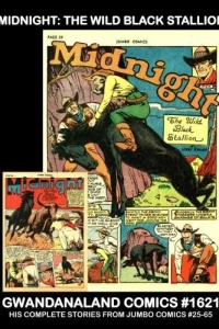 Midnight: The Wild Black Stallion