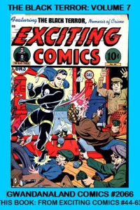 The Black Terror: Volume 7