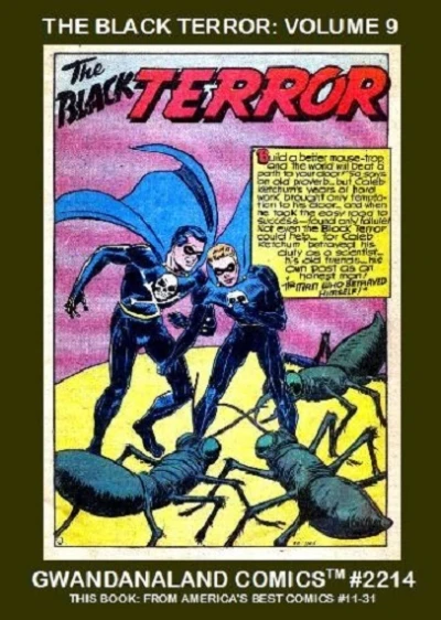 Cover of The Black Terror: Volume 9