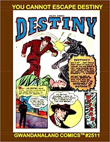 Cover of You Cannot Escape Destiny