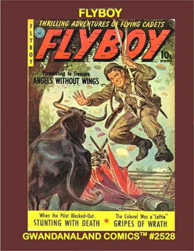Cover of Flyboy
