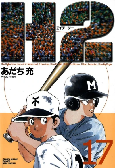 Cover of Volume 17