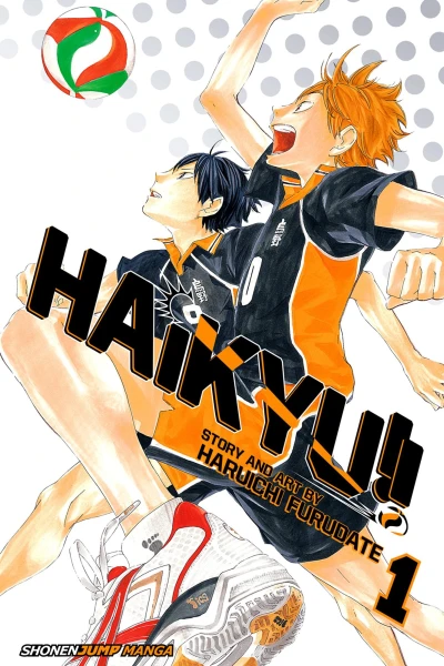 Cover of Hinata and Kageyama