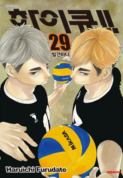Cover of Issue #29