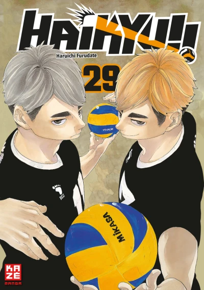 Cover of Band 29
