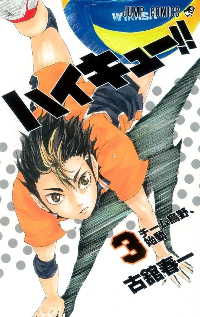 Cover of Team Karasuno, Shidō