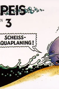 Scheiss-Aquaplaning !