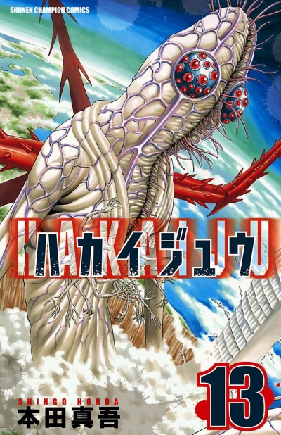 Cover of Vol. 13
