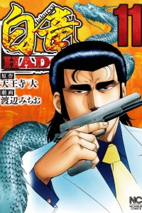 Vol. 11