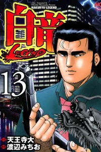 Vol. 13