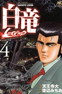 Vol. 4
