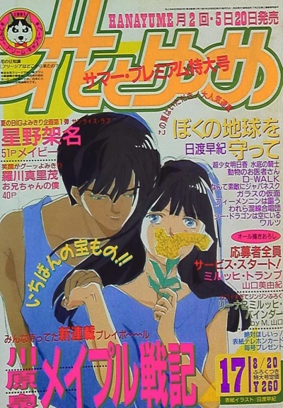 Cover of No. 17, 1991