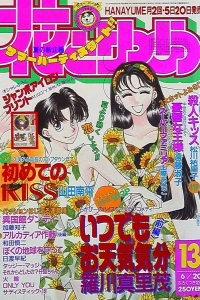 No. 13, 1993