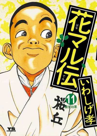 Cover of Volume 11