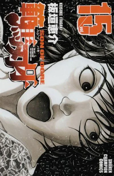 Cover of Vol. 15