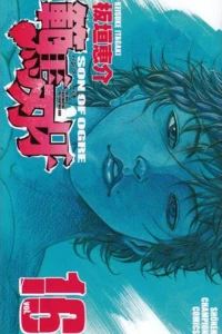 Vol. 16