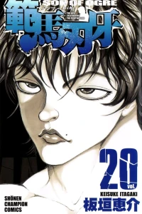 Vol. 20