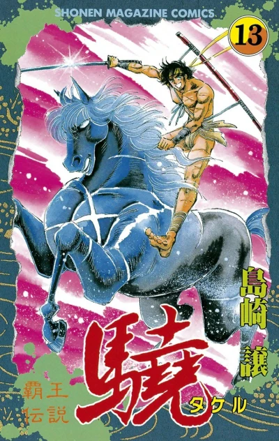 Cover of Vol. 13