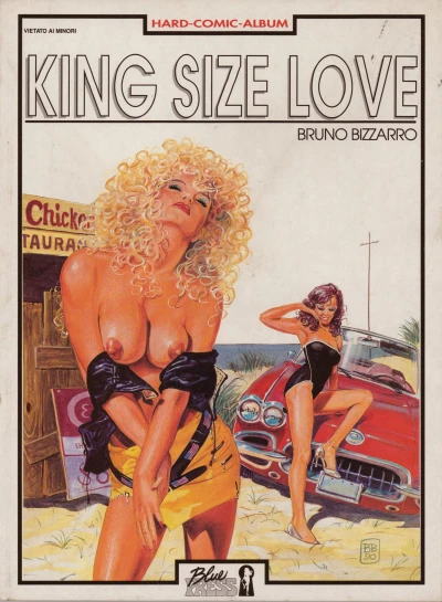 Cover of King size love