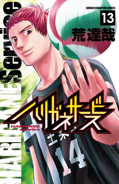 Cover of Vol. 13