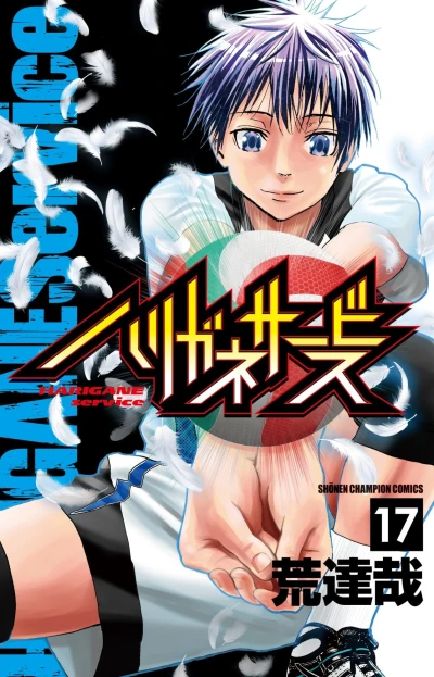Cover of Vol. 17