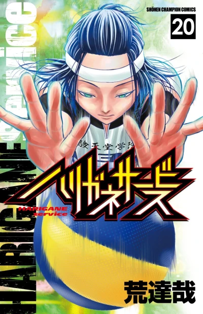 Cover of Vol. 20