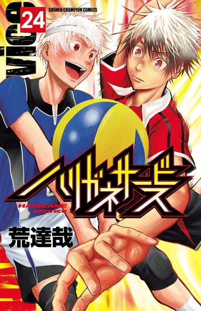 Cover of Vol. 24