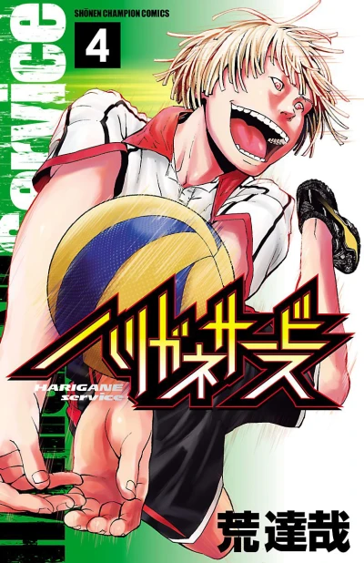 Cover of Vol. 4