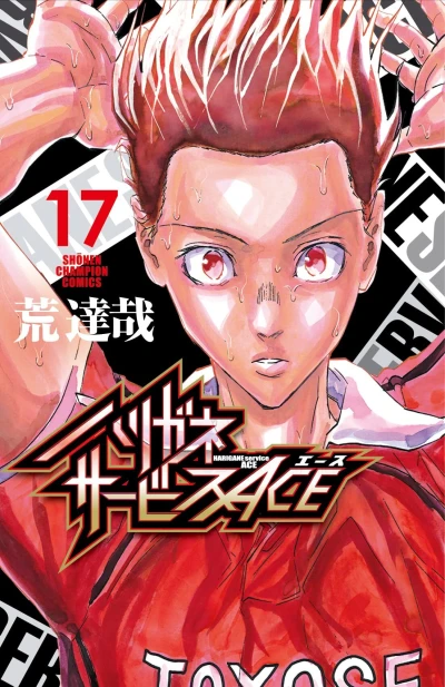 Cover of Vol. 17