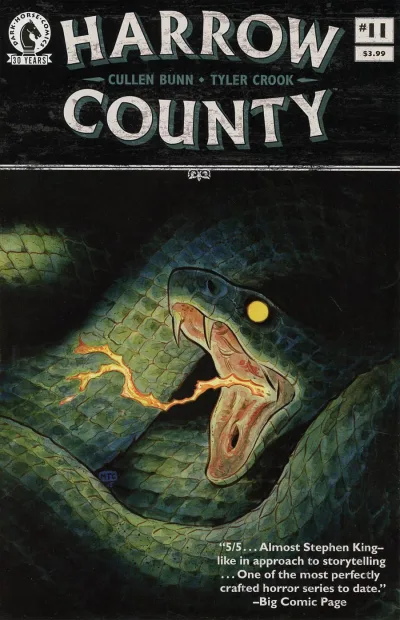 Cover of Issue #11
