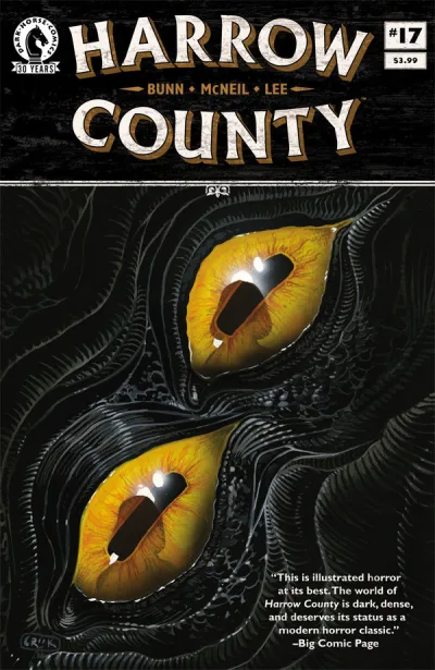 Cover of Issue #17
