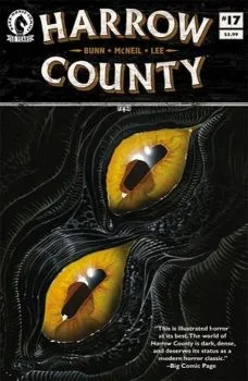 Cover of Issue #17