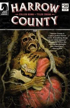 Cover of Issue #25