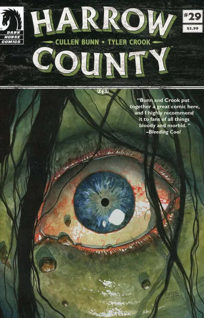 Cover of Issue #29